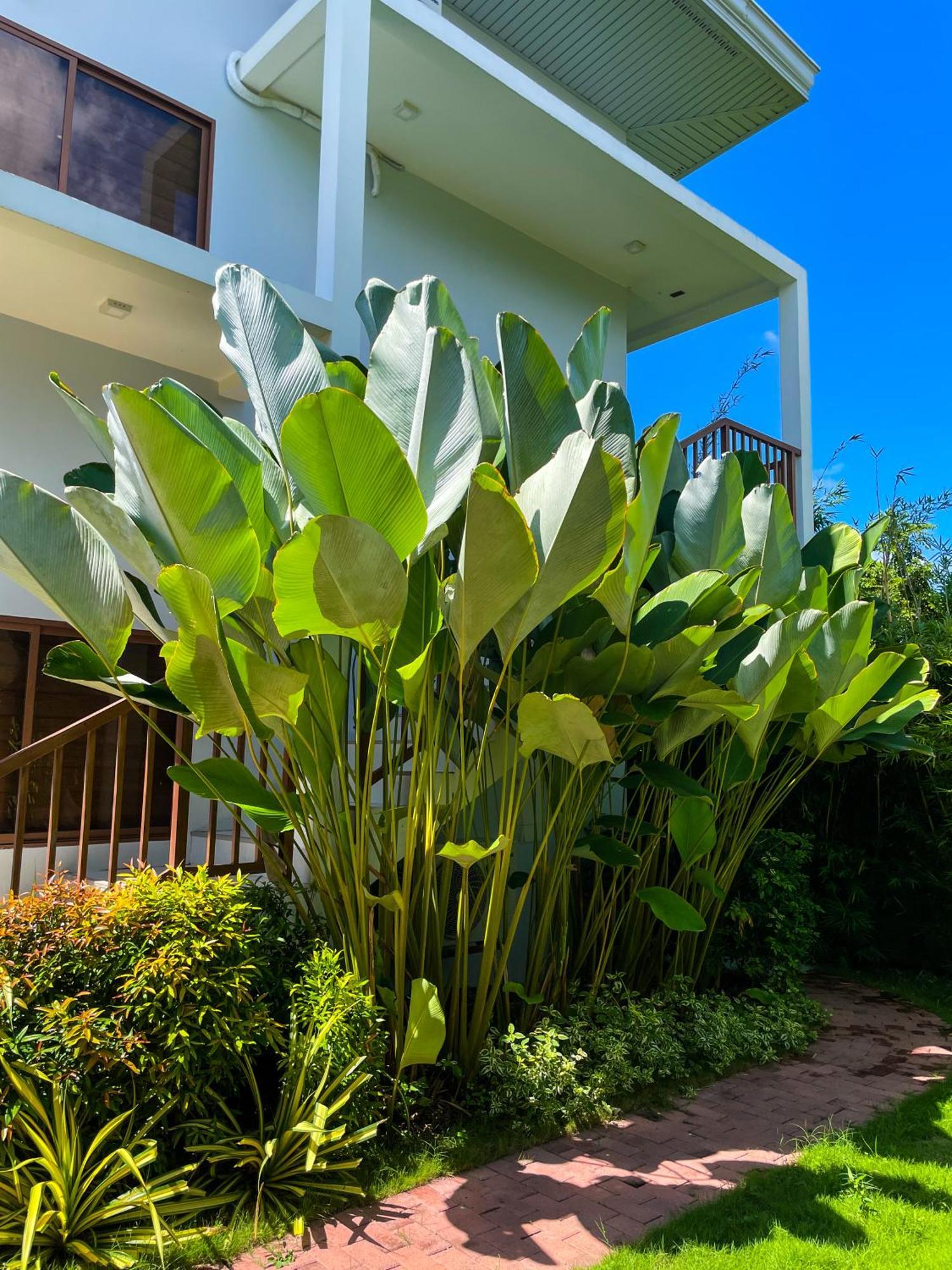 Red Picnic Hostel Đảo Panglao Ngoại thất bức ảnh
