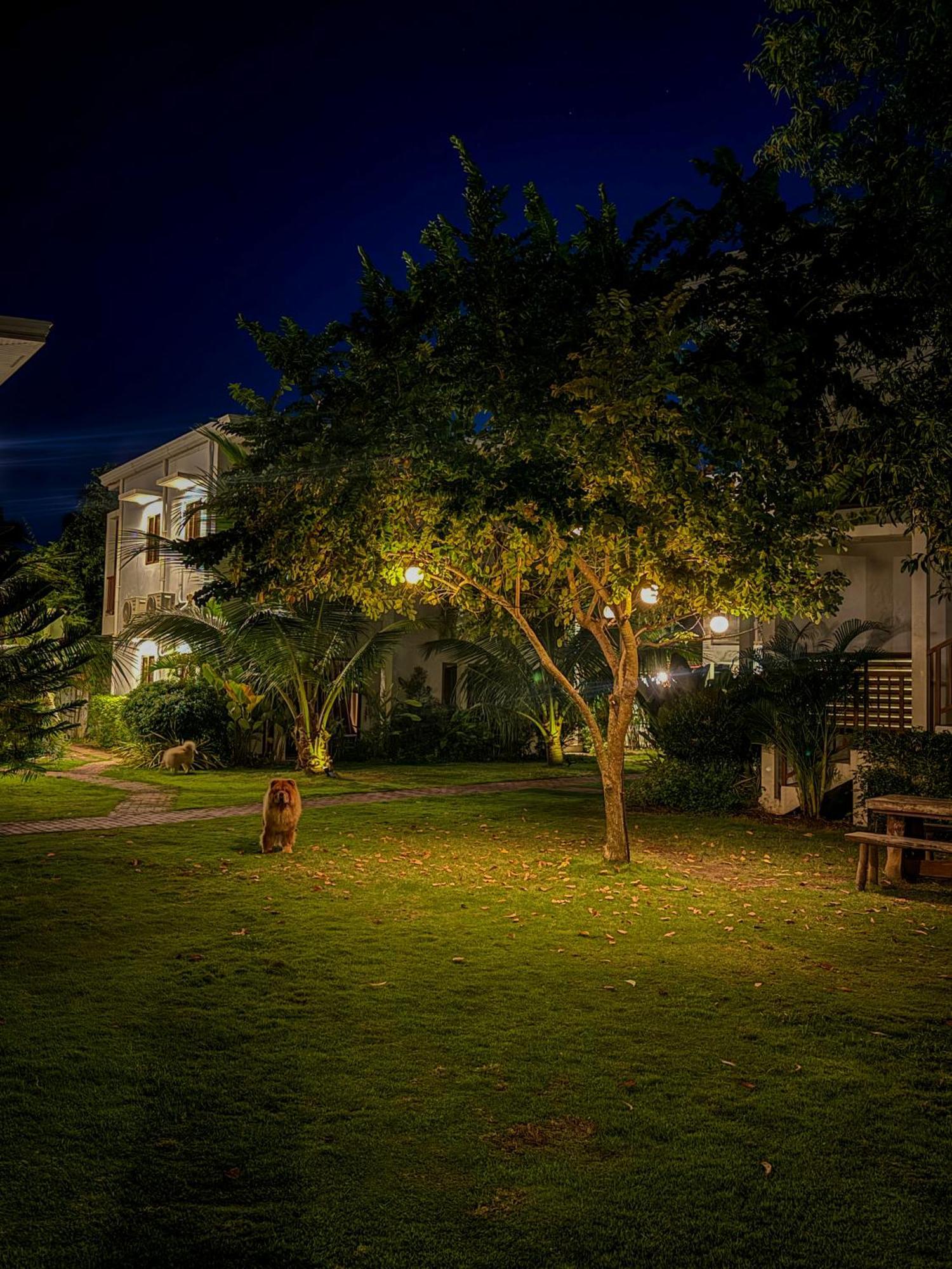 Red Picnic Hostel Đảo Panglao Ngoại thất bức ảnh